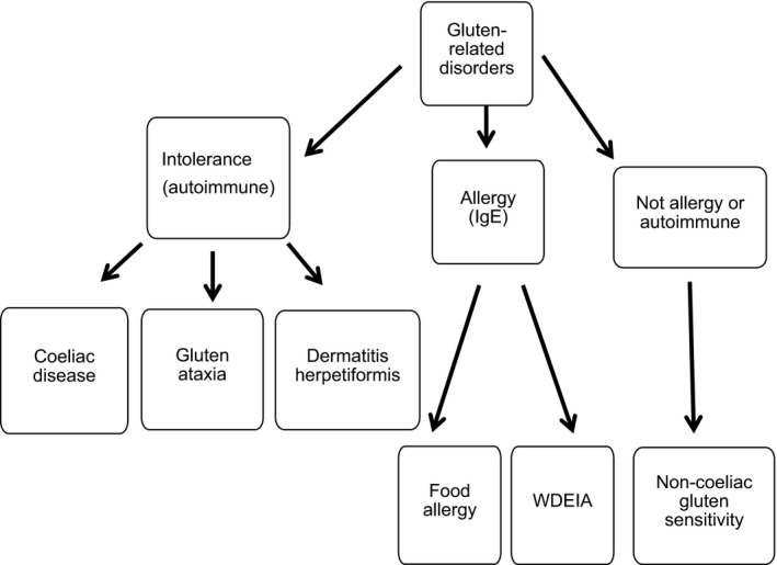 Wheat Gluten Chart
